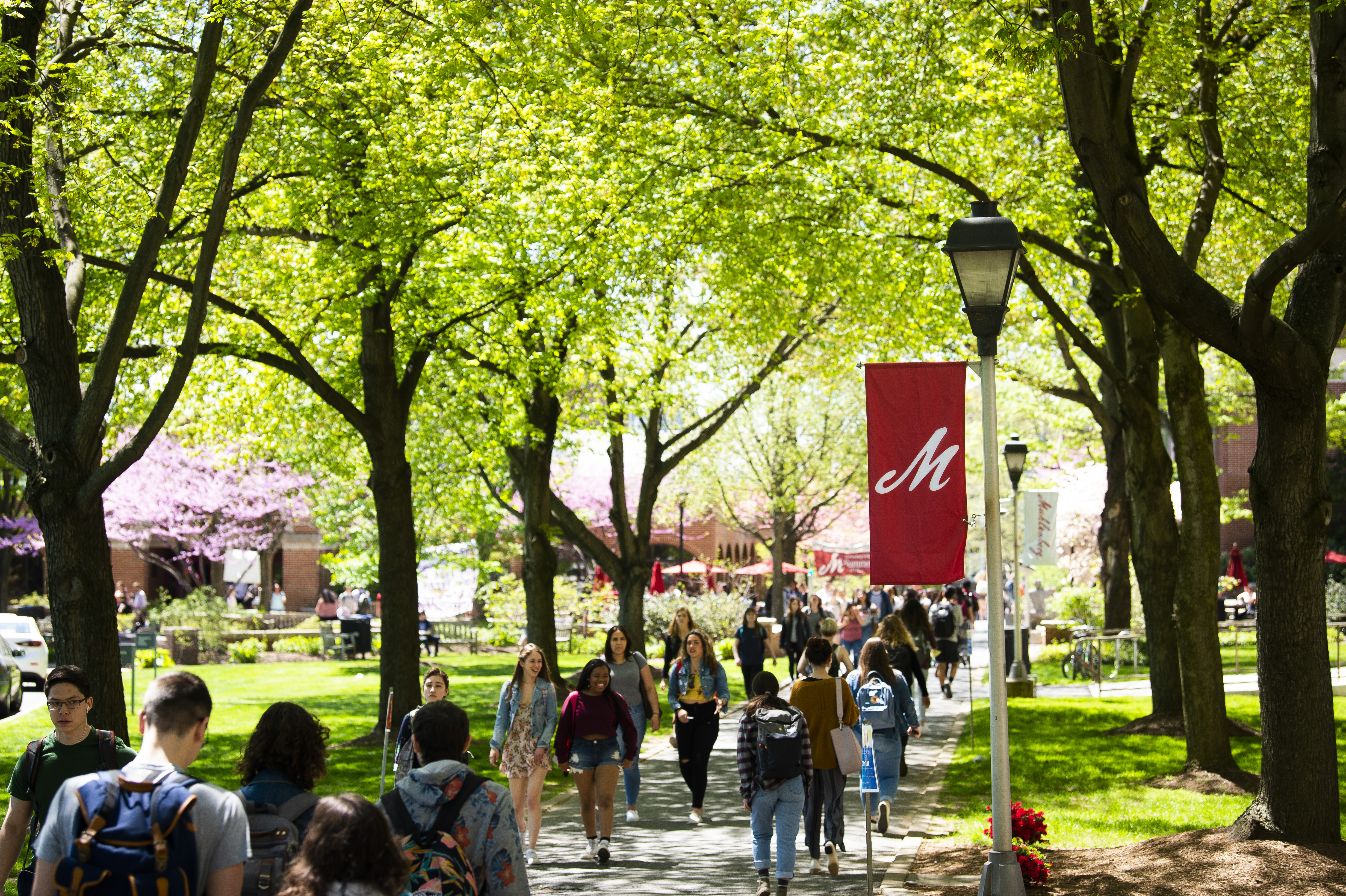 Students talking while walking