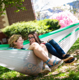 Students sitting in a hammock